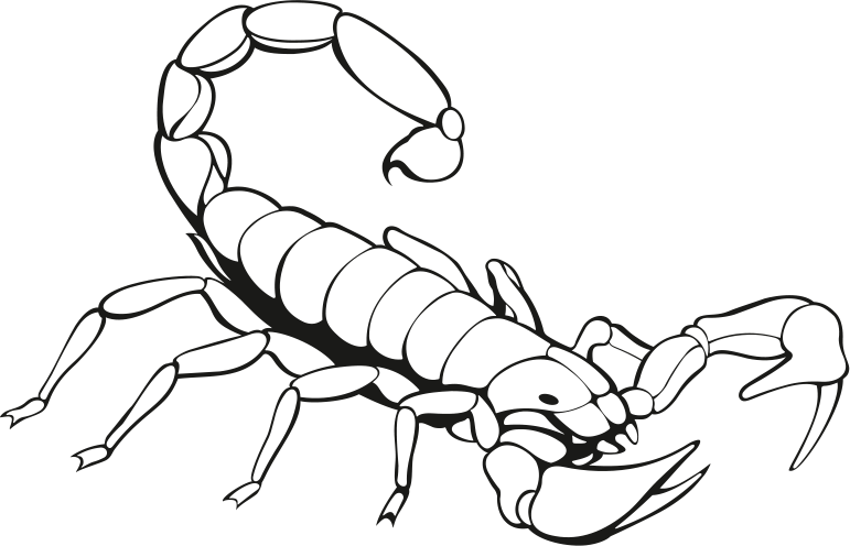 Scorpion Transporte